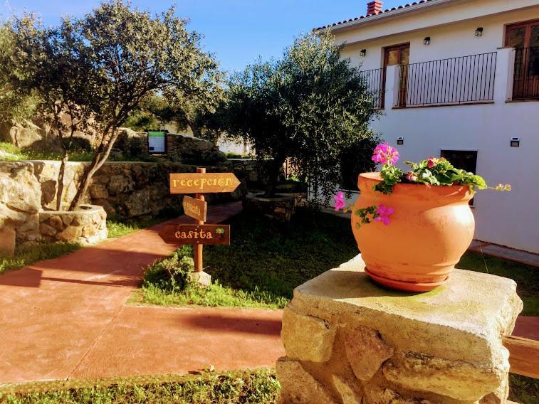 Casa Rural Flores Amarillas Almoharin Exterior foto
