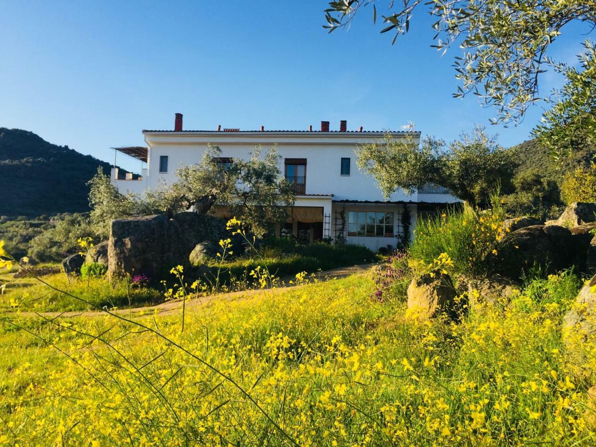 Casa Rural Flores Amarillas Almoharin Exterior foto